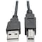 Tripp Lite 10FT HI-SPEED USB 2.0 TO USB B CABLE COILED USB A-B M/M 10 U022-010-COIL - alternate 1