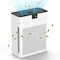 Edendirect 1100 sq. ft. H13 HEPA Personal Air Purifier in White with PM2. 5 Sensor, Sleep Mode, Black ZR-X004ATHXAN - alternate 1