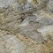 Homeroots 9' X 12' Taupe Brown And Gray Abstract Washable Indoor Outdoor Area Rug 581783 - alternate 3