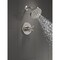 Delta Saylor Monitor 17 Series Shower Trim T17235-SS - alternate 3