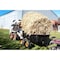 Polar Trailer MAX Heavy Duty 1800 lb. 27 Cubic Foot ATV UTV Lawn Mower Trailer HD MAX, Black 10535 - alternate 3