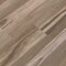 Msi Carolina Timber Beige Sample  Matte Porcelain Floor And Wall Tile ZOR-PT-0874-SAM - alternate 2