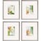 Homeroots Set Of Four Verdure Silver Framed Print Wall Art, 4PK 525858 - alternate 1