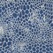 Homeroots 8' X 10' Navy Blue And Ivory Geometric Washable Indoor Outdoor Area Rug 595100 - alternate 3