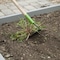 Ames 6.25 in Garden Hoe, Welded Steel, Hardwood Handle, Cushion Grip 2825700 - alternate 3