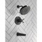 Delta Galeon 17T S Tub Shower Trim with UltraSoak T17T471-BL - alternate 2