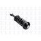 Fcs Struts Suspension Strut And Coil Spring Assembly 4345685R - alternate 2