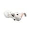 Autobest Fuel Pump Hanger Assembly, 1996-2002 BMW Z3 Roadster Coupe Engine Designation: M44, M52, S52,  F4331A - alternate 5