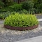 Gardenised Set of 8 Pcs Decorative Rattan-Inspired Plastic Landscape Edging and Garden Fence Borders in a QI004675.8 - alternate 2