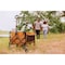 Picnic Time Family Of Brands Wilderness Collapsible Folding Wagon, Brown & Gray 740-00-297-000-0 - alternate 3
