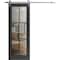 Sartodoors Sturdy Barn Door Clear Tempered Glass, Lucia 2366 Matte Black and Aluminum Strips, 6.6FT Silver Ra LUCIA2366BD-S-BLK-24 x 96 - alternate 1