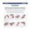 Sani Professional PDI Sani-Hands Instant Hand Sanitizing Wipes, 7.5 x 6, Unscented, White, 220 Wipes, 6PK NPKP15984 - alternate 4