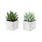 Monarch Specialties Artificial Plant, 8-in. Tall, Succulent, Table, Grey Cement Pots, Contemporary, Modern, 2PK I 9363 - alternate 1