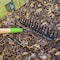 Ames 16-Tine Bow Rake, Welded Steel, Hardwood Handle, Cushion Grip 2825300 - alternate 2