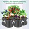 Ipower InfiniPower 7 Gallon Plant Grow Bags, 400G Thick Nonwoven Fabric Pots, 5PK GLGROWBAG7X5GRY - alternate 3