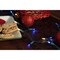 Celebrations Classic LED T5 Blue/Pure White 100 ct String Christmas Lights 24.75 ft. RT5100FZA - alternate 3