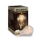 Bulbrite 25 Watt Dimmable Antique Nostalgic Loop Filament A19 Medium E26 Incandescent Bulb, 4 PK 861373 - alternate 3