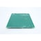 Domino PCU IV REPLACEMENT BOARD EPT009021SP - alternate 3