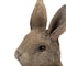 Homeroots Set of Two Brown Resin Bunny Outdoor Statues 721387 - alternate 2
