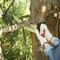 Corona Tools RazorTOOTH Saw D-Handled , 18 in. Blade RS 7510D - alternate 2