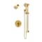 Symmons Dia HydroMersion Single Handle Shower Faucet Trim Kit  with Hand Spray (Valve not Included) S3598BBBZ15TRM - alternate 1