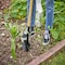 Corona Tools Floral Shovel SS 47000 - alternate 2