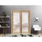 Sartodoors Sliding Closet Bypass Doors Planum 2102 Oak Solid Core Modern Interior PLANUM2102DBD-DUB-36 - alternate 1