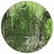 Homeroots 8' Green And Lime Green Round Abstract Washable Indoor Outdoor Area Rug 577243 - alternate 3