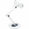 Eaton Tripp Lite Series Full-Motion Flexible Long-Arm Desktop Smartphone and Tablet Mount, White DMTBD413 - alternate 7