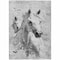 Homeroots 3' X 5' Gray And Silver Horse Washable Indoor Outdoor Area Rug 618679 - alternate 2