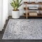 Jonathan Y Modern Persian Vintage Medallion Light Gray/ Multi 5 ft. x 8 ft. Area Rug MDP102A-5 - alternate 3