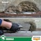 Rust-Oleum Hydraulic Cement, 20 lb, Gray 392534 - alternate 3