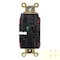 Hubbell Wiring Device-Kellems Straight Blade Receptacle, 5-15R, 15 A, 125V AC, 2 Pole, 3 Wire, Surface Mount, Grounded HBL5262STRTR - alternate 2