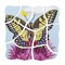 Beleduc Layer Puzzle, Butterfly B17054 - alternate 3