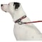 Guardian Gear Dog Collar, O-Ring Link, 16 to 83 in L Collar, Nylon, True Red ZA0006 16 83 - alternate 2