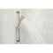 Peerless Ezra Slide Bar with Hand Shower Brushed Nickel P62471-BN - alternate 3