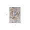 Homeroots 4' X 6' Blue Indoor Outdoor Area Rug 527620 - alternate 3