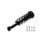 Fcs Struts Suspension Strut And Coil Spring Assembly 1355057 - alternate 4