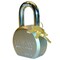 Trimax Padlock TPL1251S - alternate 1