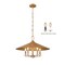 Z-Lite Rialto 5 Light Pendant, Signature Gold/Signature Gold, 22 In W x 14.5 In H 1953-22SGD - alternate 1