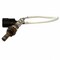 Motorcraft Oxygen Sensor,  DY1153 - alternate 2