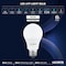Luxrite A19 LED Light Bulb 60 Watt Equivalent, Non-Dimmable, 4000K Cool White, 800LM, Standard LED, 24PK LR21533 - alternate 3