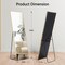 Simple Deluxe Full Length Mirror, Floor Mirror with Stand, Mirror Full Length for Home Wall Decor, Aluminum Frame 3A88MIROZJ2164GLD - alternate 3