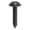 Auveco Phillips Flat Washer Head Tapping Screw 8 x 3/4in Black, 100PK 12215 - alternate 1