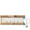Bulbrite LED Filament PK of 4, 7.6 W Dimmable G25 Light Bulb with Clear Finish and E26 Base - 3000K 776240 - alternate 7