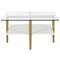 Homeroots 32" White And Gold Glass And Steel Square Coffee Table With Shelf 521987 - alternate 4