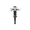 Fcs Struts Suspension Strut And Coil Spring Assembly 2335832R - alternate 1