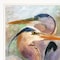 Homeroots Blue Heron Duet 1 White Framed Print Wall Art 407860 - alternate 2