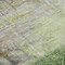 Homeroots 8' X 10' Artichoke Green And Ivory Abstract Washable Indoor Outdoor Area Rug 632020 - alternate 2