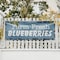 Signmission Farm Fresh Blueberries, 48 Inch x 120 Inch, Vinyl Banner B-120-30580 - alternate 2